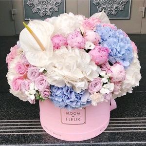 Meet your Posher, Sylvia